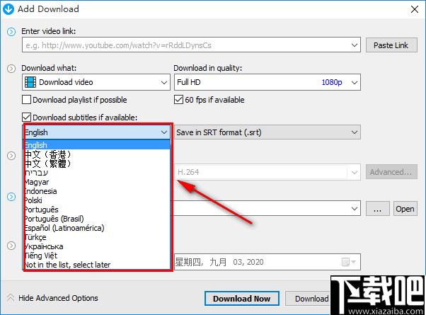 Any Video Downloader Pro下载,视频下载,下载工具