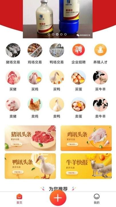 畜牧云端手机版下载,畜牧云端,畜牧app,农业app
